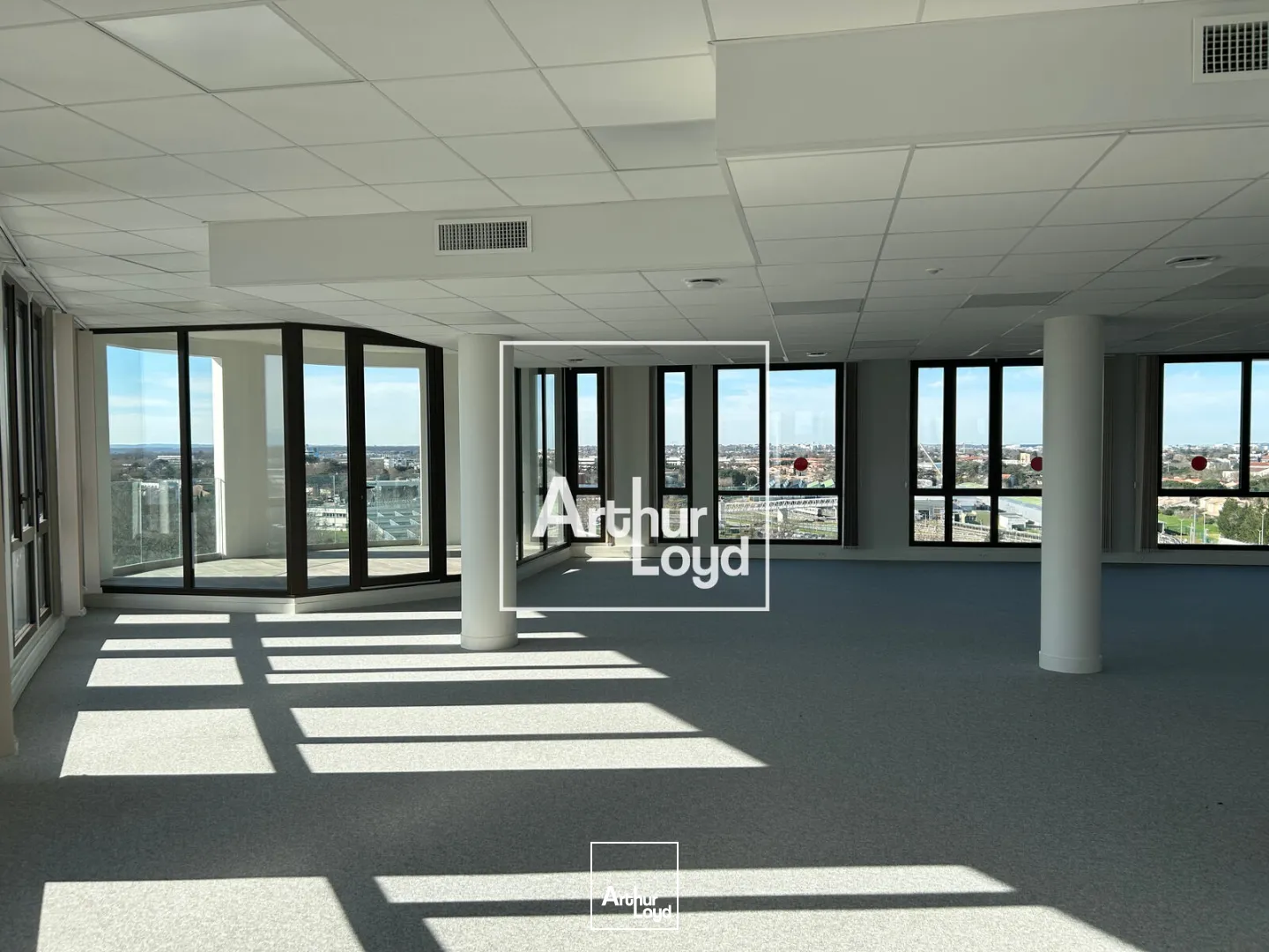 Bureaux - Location - TOULOUSE - 31100 - 542-2295 - 7643333