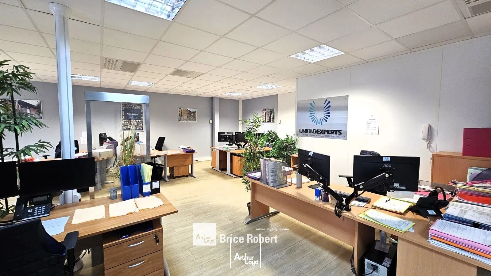 Bureaux - Location - RILLIEUX LA PAPE - 69140 - 351.62-351.62 - 7643908