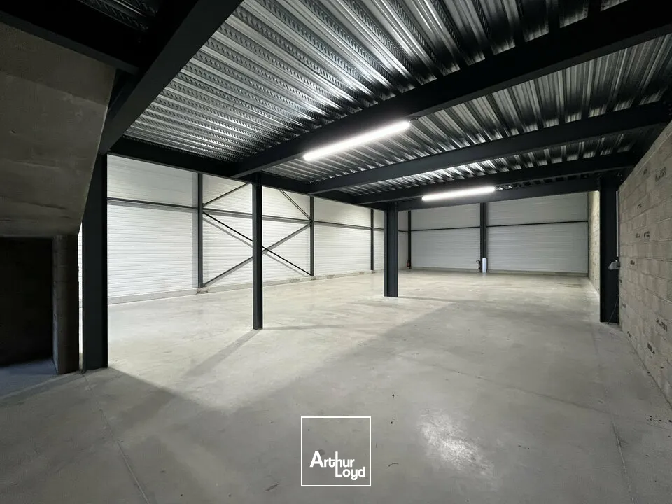 Locaux d'activité & Entrepôts - Vente - SOUFFELWEYERSHEIM - 67460 - 385-385 - 7644075