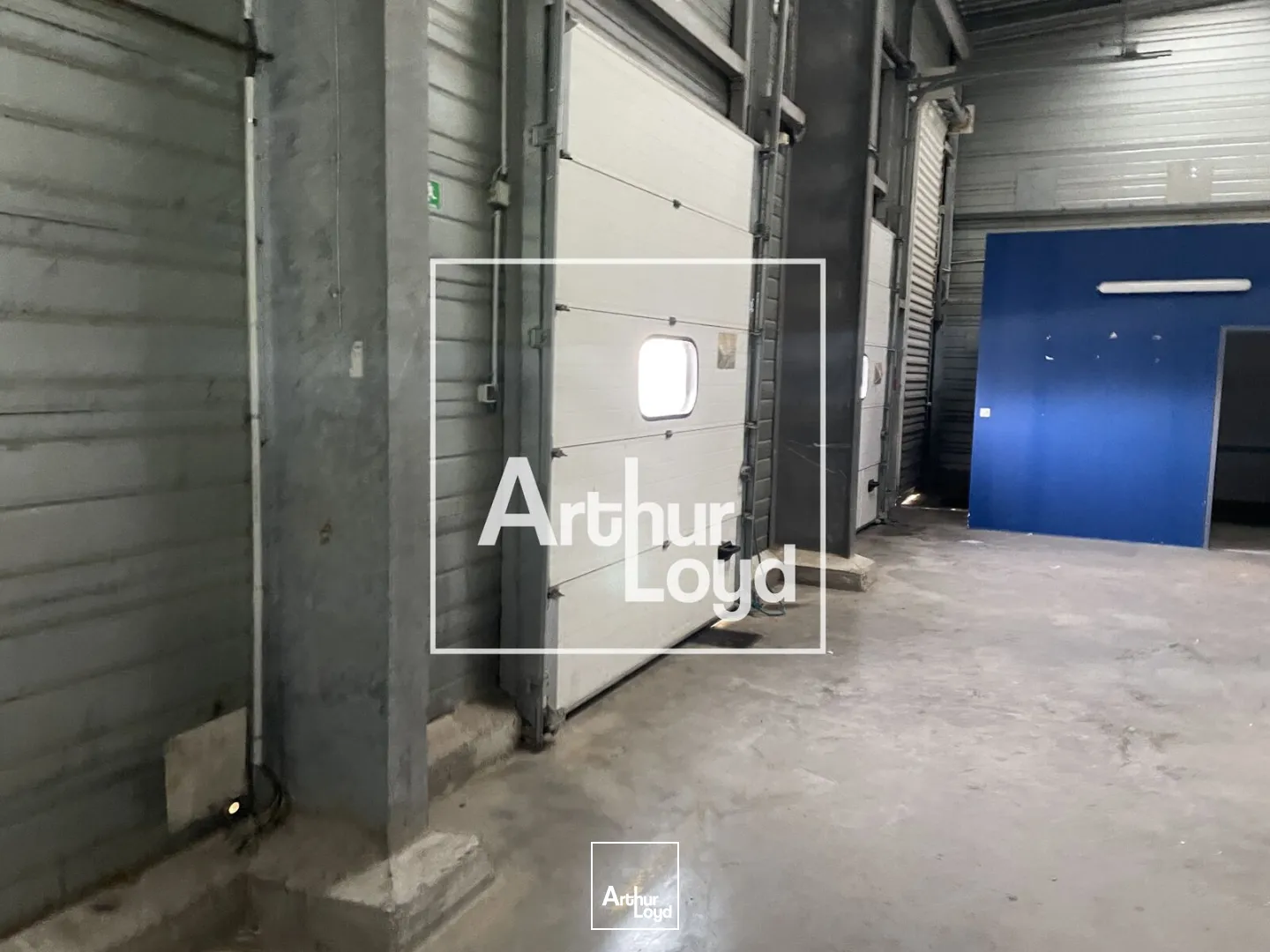 Locaux d'activité & Entrepôts - Location - SERVIAN - 34290 - 1400-1400 - 7645901