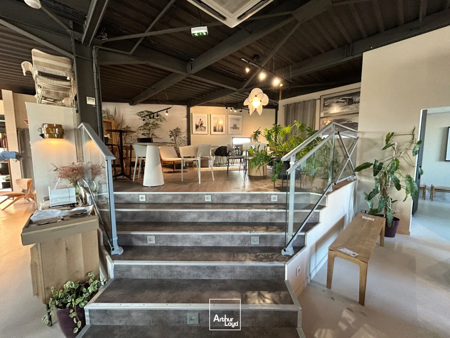 Locaux commerciaux - Location - PERPIGNAN - 66100 - 240-240 - 7645938