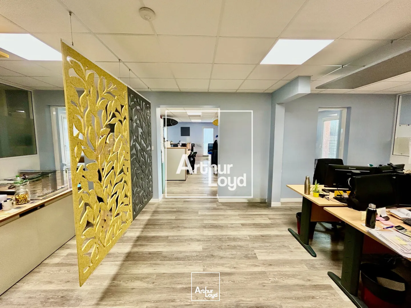 Locaux d'activité & Entrepôts - Vente - BEZIERS - 34500 - 1035-1035 - 7645968