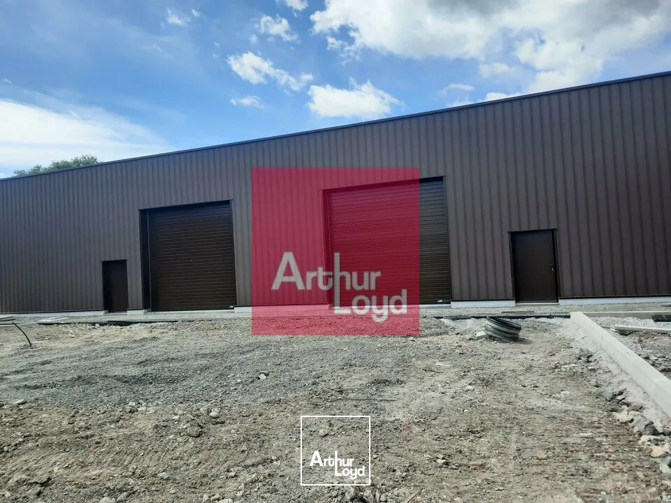 Locaux d'activité & Entrepôts - Location - COURNON D'AUVERGNE - 63800 - 250-250 - 7646831