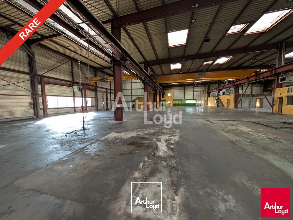 Locaux d'activité & Entrepôts - Vente - BRUZ - 35170 - 2780-2780 - 7646945