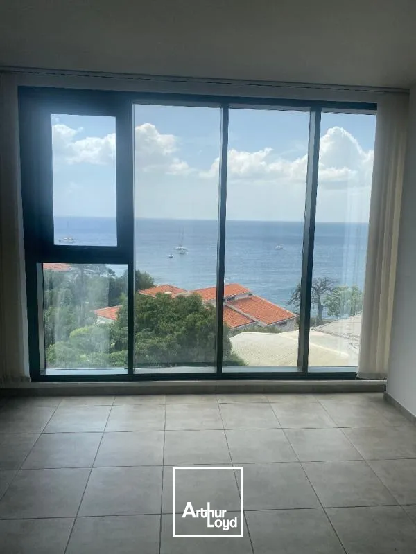 Bureaux - Location - Schoelcher - 97233 - 40-40 - 7647485