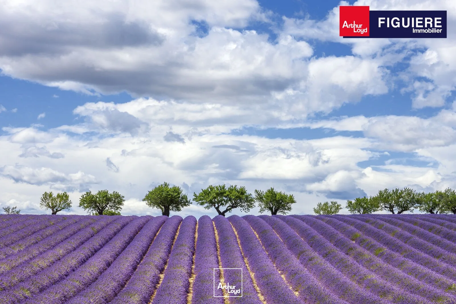 Locaux commerciaux - Location - SALON DE PROVENCE - 13300 - 280-560 - 7649894