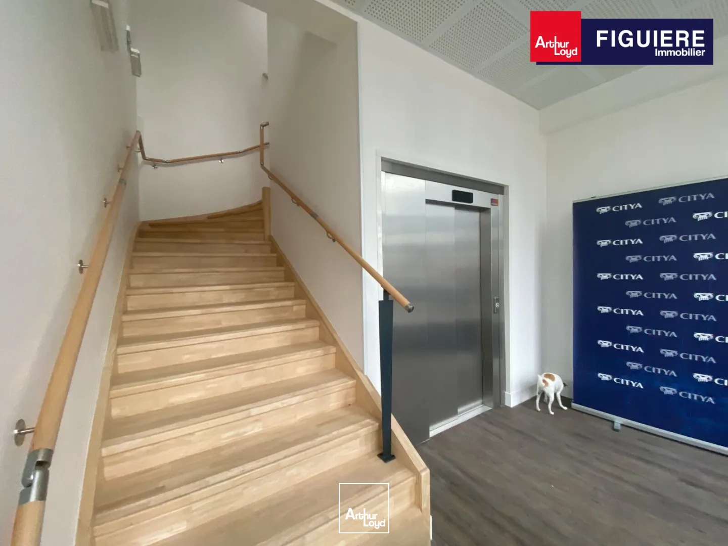 Bureaux - Location - PORT DE BOUC - 13110 - 246-246 - 7650159