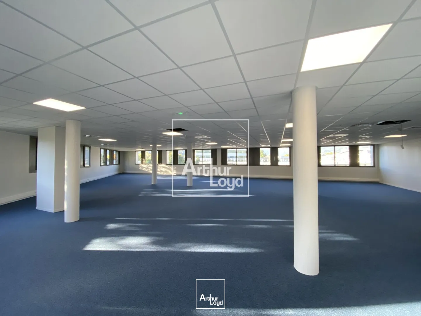 Bureaux - Location - GRENOBLE - 38100 - 511-511 - 7650824