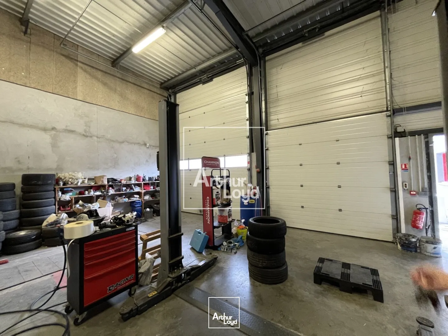 Locaux d'activité & Entrepôts - Location - SAINT QUENTIN SUR ISERE - 38210 - 1555-1555 - 7650852