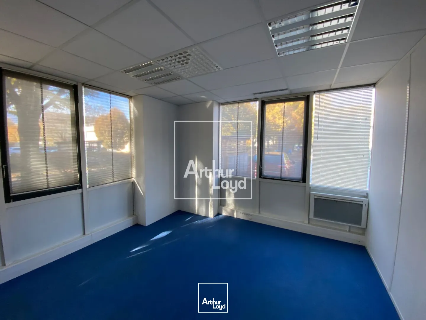 Bureaux - Vente - EYBENS - 38320 - 926-926 - 7650885