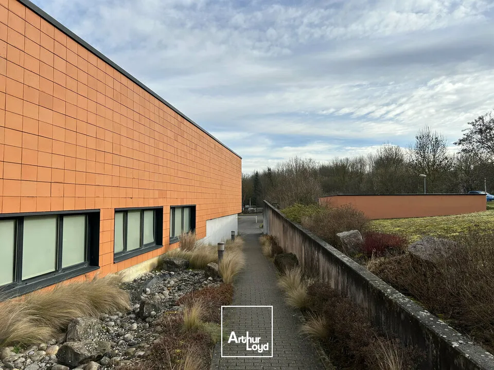 Bureaux - Location - MULHOUSE - 68200 - 25.12-124.42 - 7652010