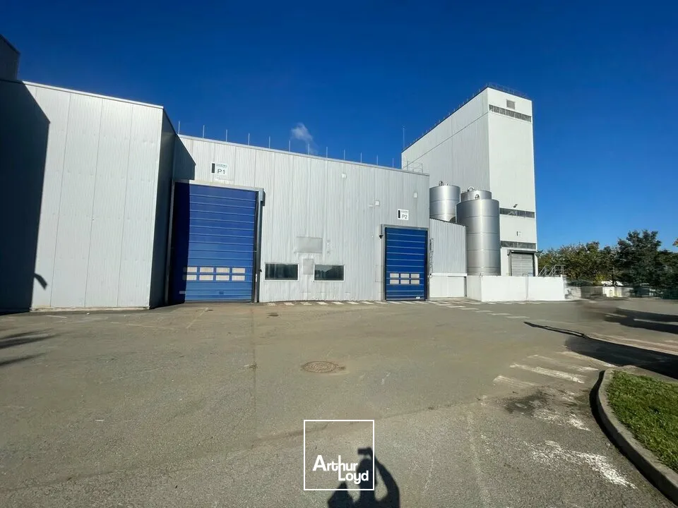 Locaux d'activité & Entrepôts - Vente - ESSARTS-EN-BOCAGE - 85140 - 3260-3260 - 7652052