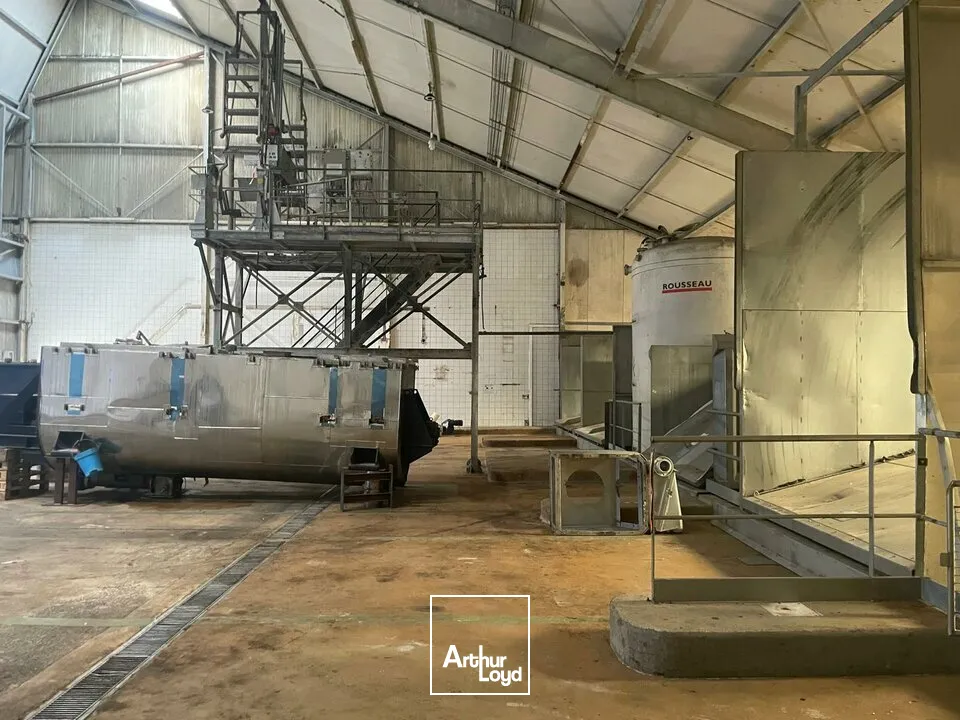 Locaux d'activité & Entrepôts - Vente - ESSARTS-EN-BOCAGE - 85140 - 3260-3260 - 7652051