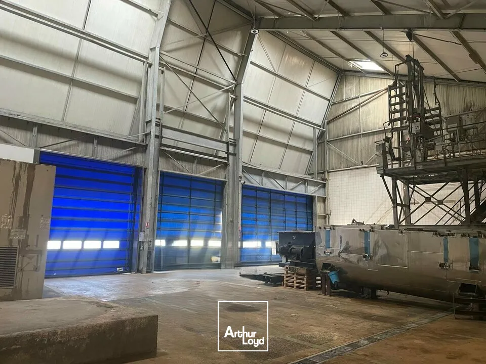 Locaux d'activité & Entrepôts - Vente - ESSARTS-EN-BOCAGE - 85140 - 3260-3260 - 7652050