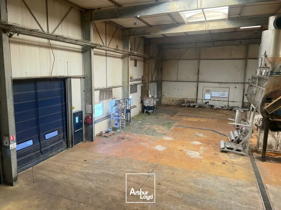 Locaux d'activité & Entrepôts - Vente - ESSARTS-EN-BOCAGE - 85140 - 3260-3260 - 7652049