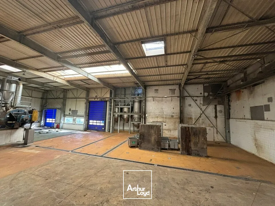 Locaux d'activité & Entrepôts - Vente - ESSARTS-EN-BOCAGE - 85140 - 3260-3260 - 7652048