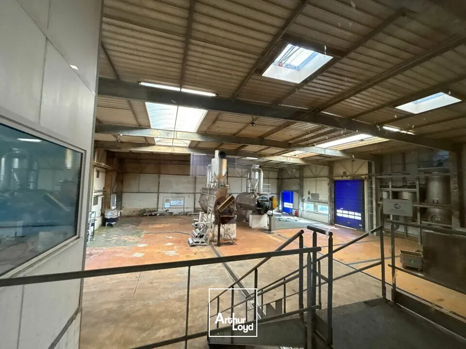 Locaux d'activité & Entrepôts - Vente - ESSARTS-EN-BOCAGE - 85140 - 3260-3260 - 7652047