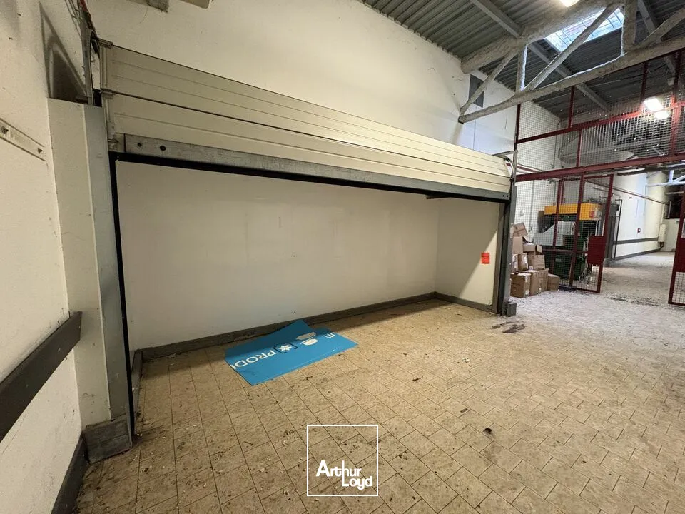 Locaux commerciaux - Location - SAINT-MEMMIE - 51470 - 1000-1000 - 7652094