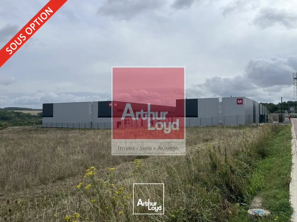 Locaux d'activité & Entrepôts - Location - AUXERRE - 89000 - 288-288 - 7652122