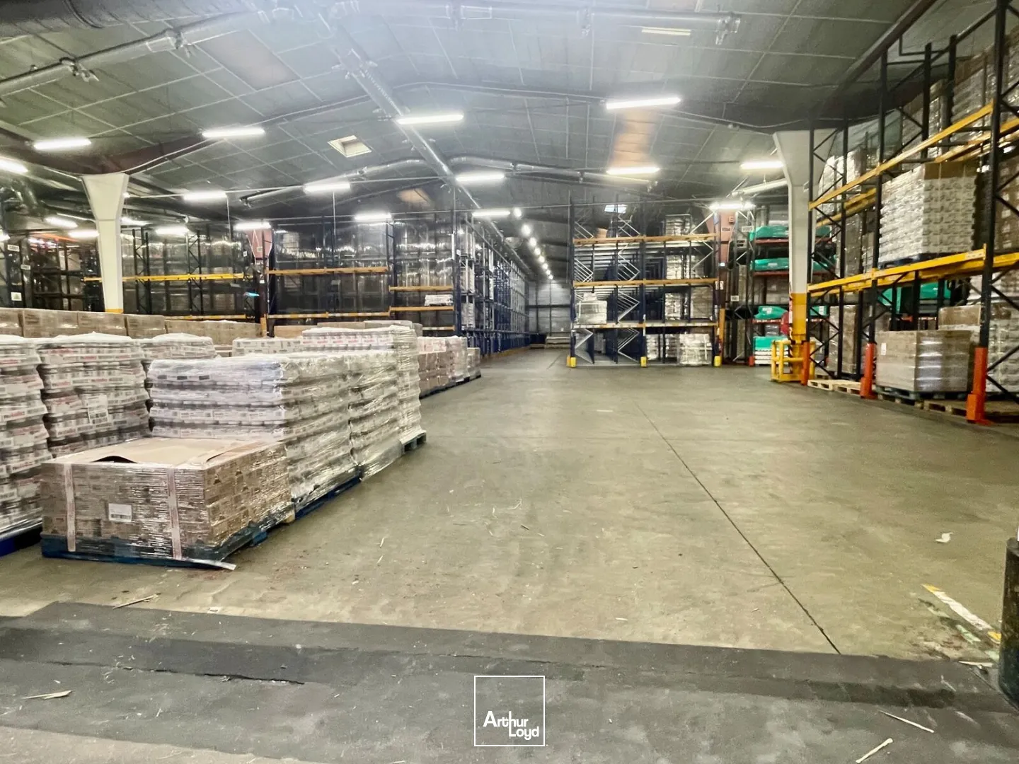 Locaux d'activité & Entrepôts - Location - LE GRAND QUEVILLY - 76120 - 11569-11569 - 7652342