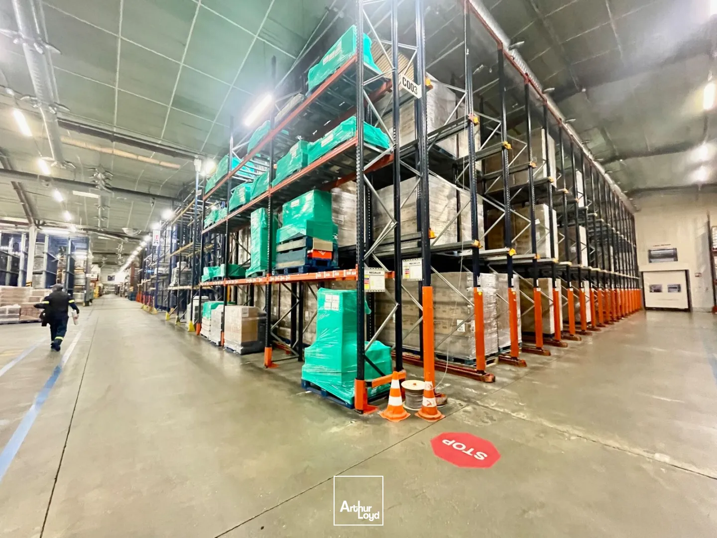 Locaux d'activité & Entrepôts - Location - LE GRAND QUEVILLY - 76120 - 11569-11569 - 7652343