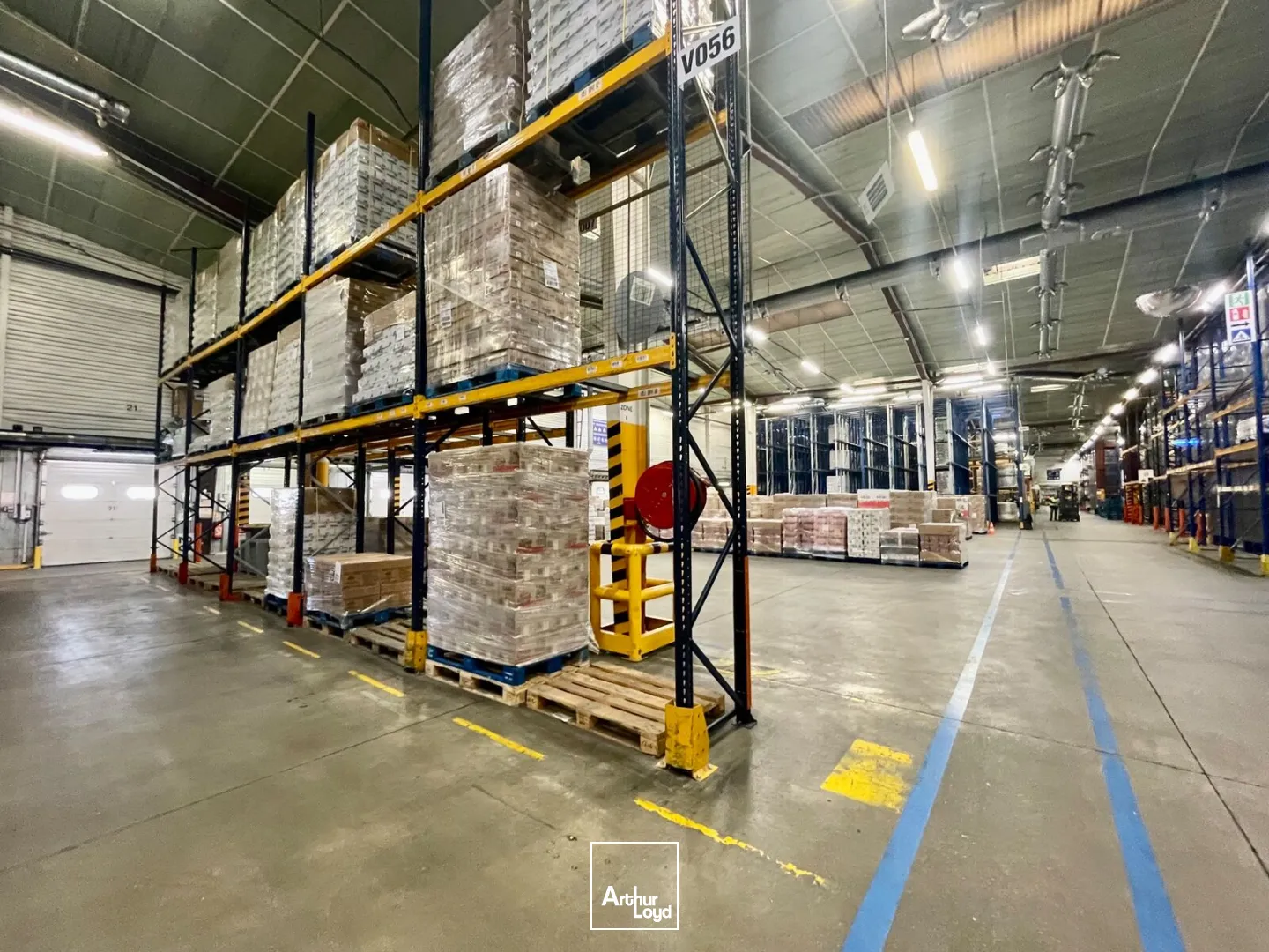 Locaux d'activité & Entrepôts - Location - LE GRAND QUEVILLY - 76120 - 11569-11569 - 7652346