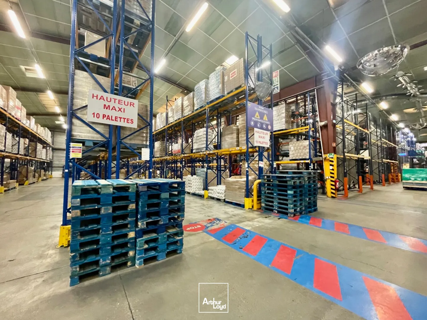 Locaux d'activité & Entrepôts - Location - LE GRAND QUEVILLY - 76120 - 11569-11569 - 7652349