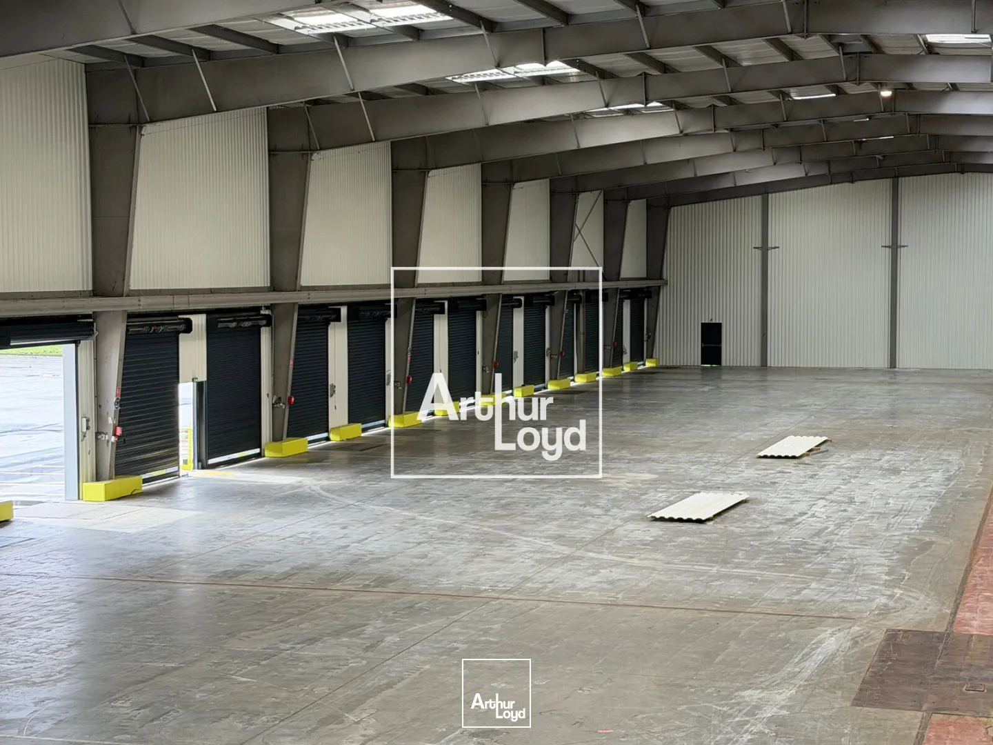 Locaux d'activité & Entrepôts - Location - BRUGUIERES - 31150 - 4773-4773 - 7652602