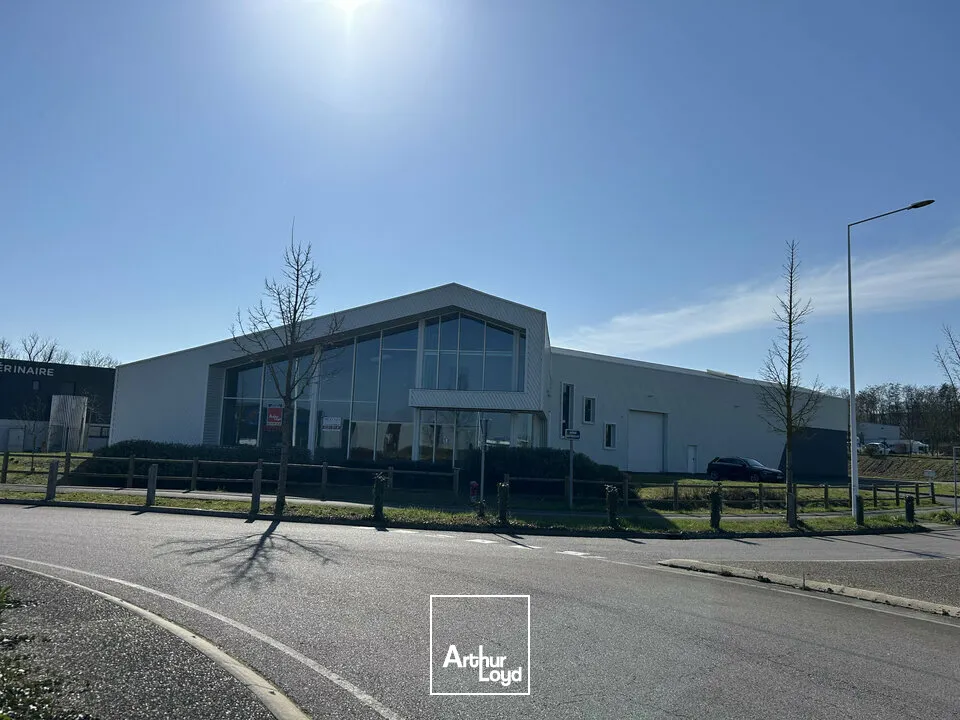 Locaux d'activité & Entrepôts - Location - MARLY - 57155 - 1200-1200 - 7652766