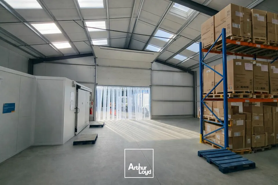 Locaux d'activité & Entrepôts - Location - NIORT - 79000 - 1010-1010 - 7652838