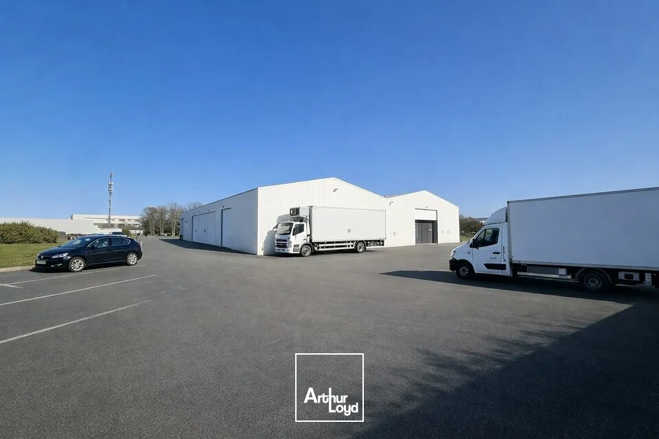 Locaux d'activité & Entrepôts - Location - NIORT - 79000 - 1010-1010 - 7652835