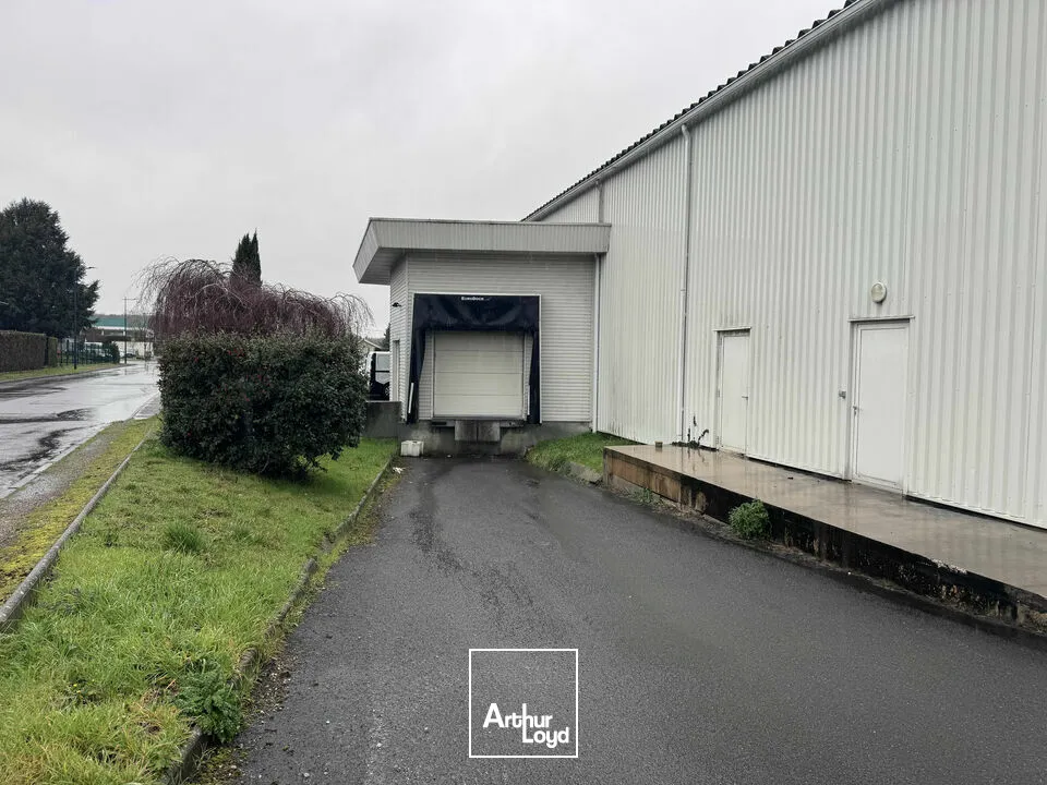 Locaux d'activité & Entrepôts - Vente - ANGOULEME - 16000 - 1000-1000 - 7653104