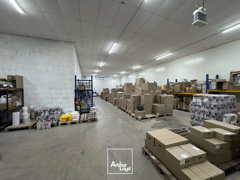 Locaux d'activité & Entrepôts - Vente - ANGOULEME - 16000 - 1000-1000 - 7653105