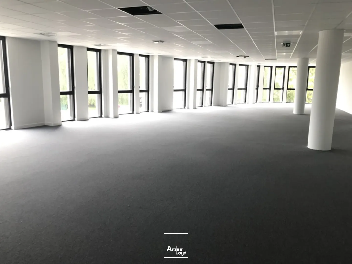 Bureaux - Location - VILLENEUVE D'ASCQ - 59650 - 458-458 - 7653202