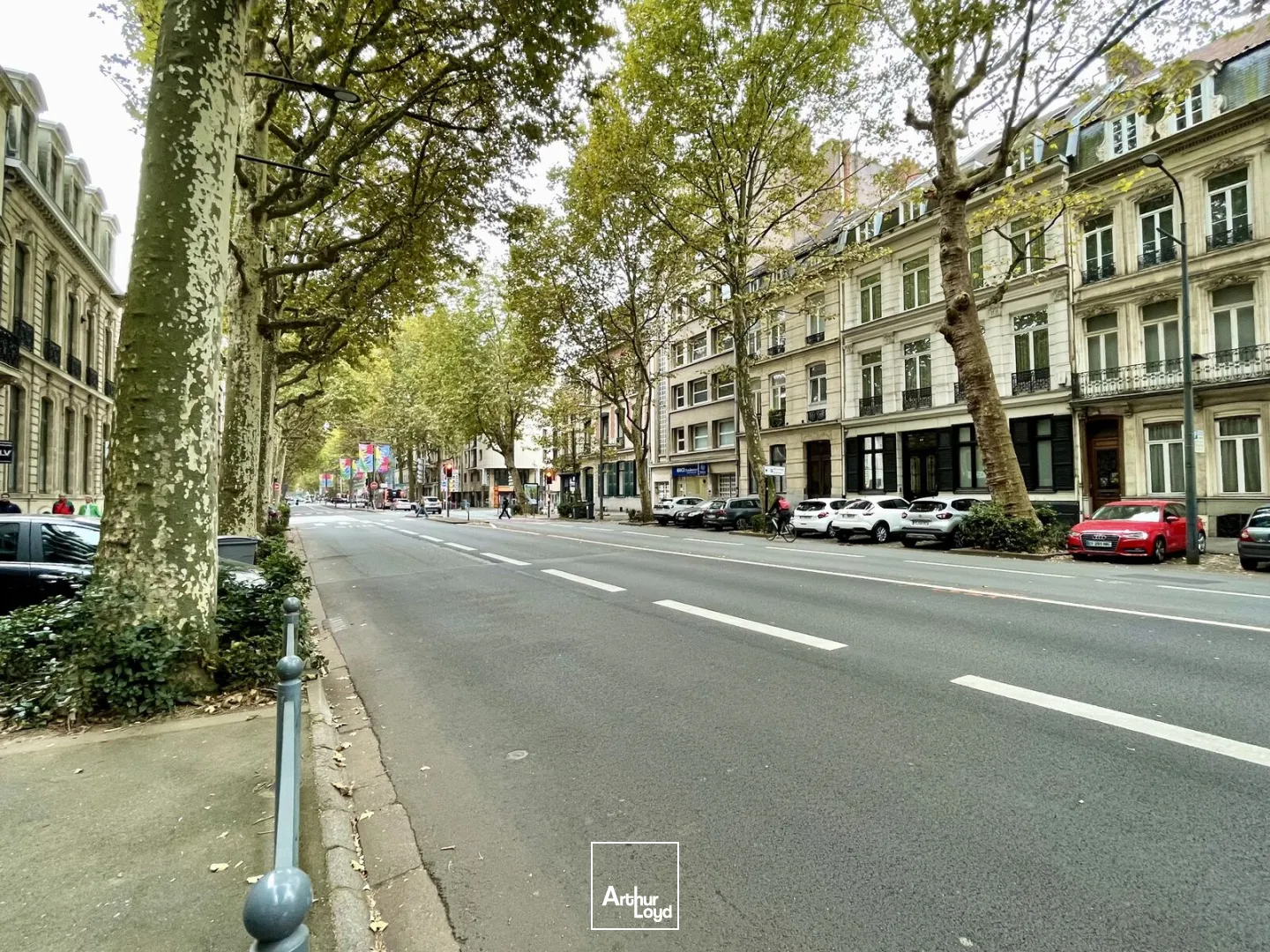 Bureaux - Location - LILLE - 59000 - 293-293 - 7653220