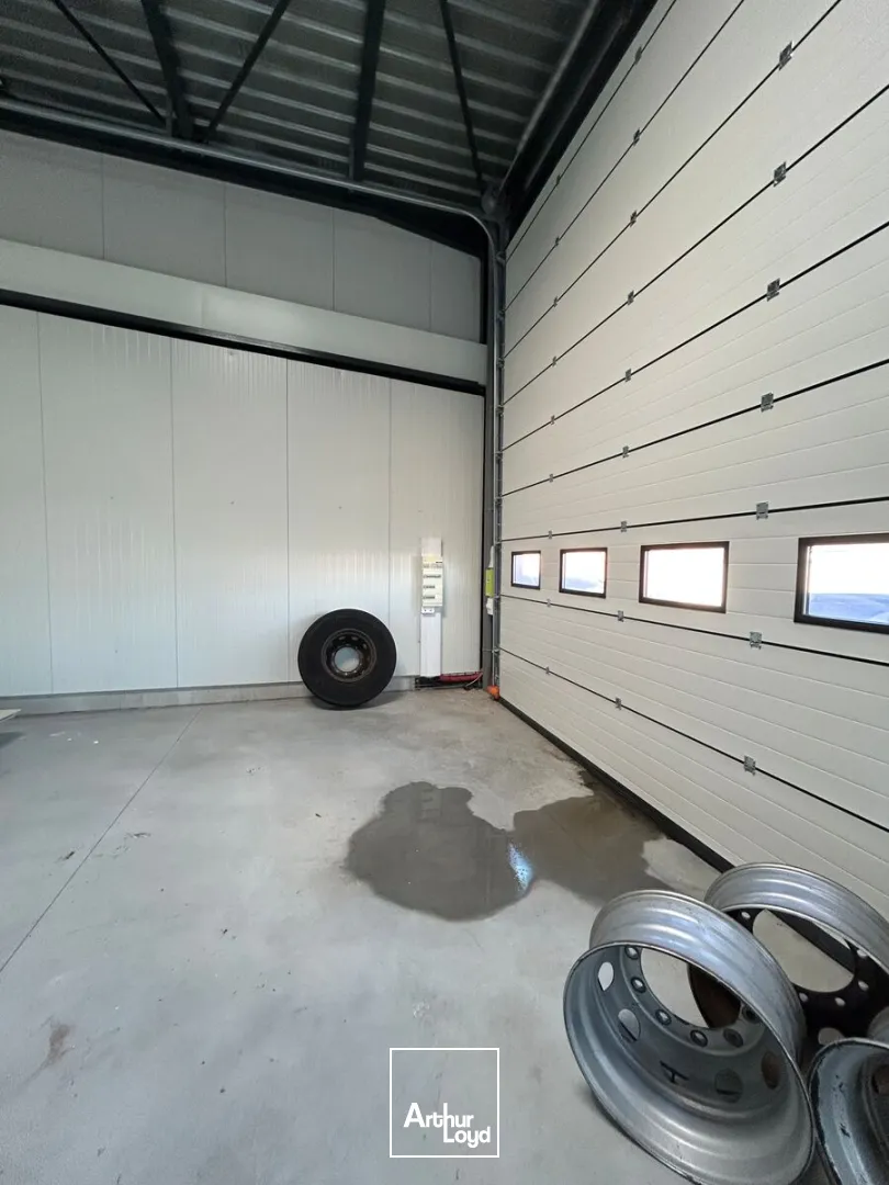 Locaux d'activité & Entrepôts - Location - PETITE FORET - 59494 - 168-168 - 7653260