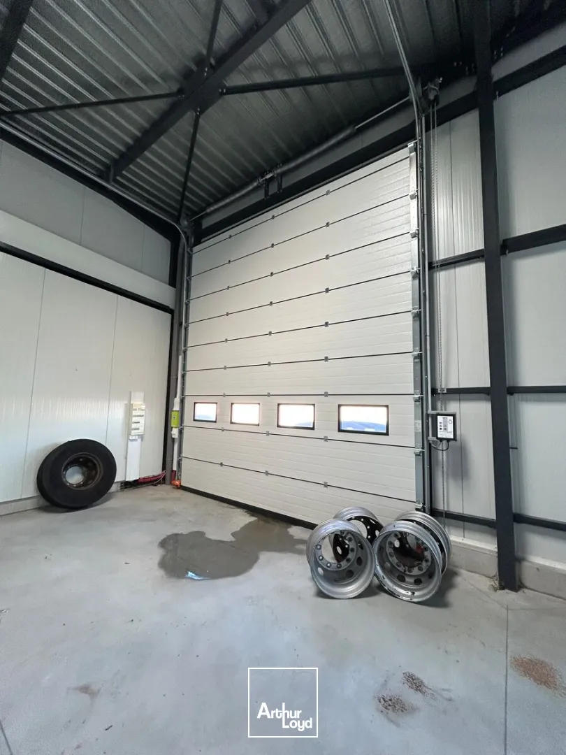 Locaux d'activité & Entrepôts - Location - PETITE FORET - 59494 - 168-168 - 7653262