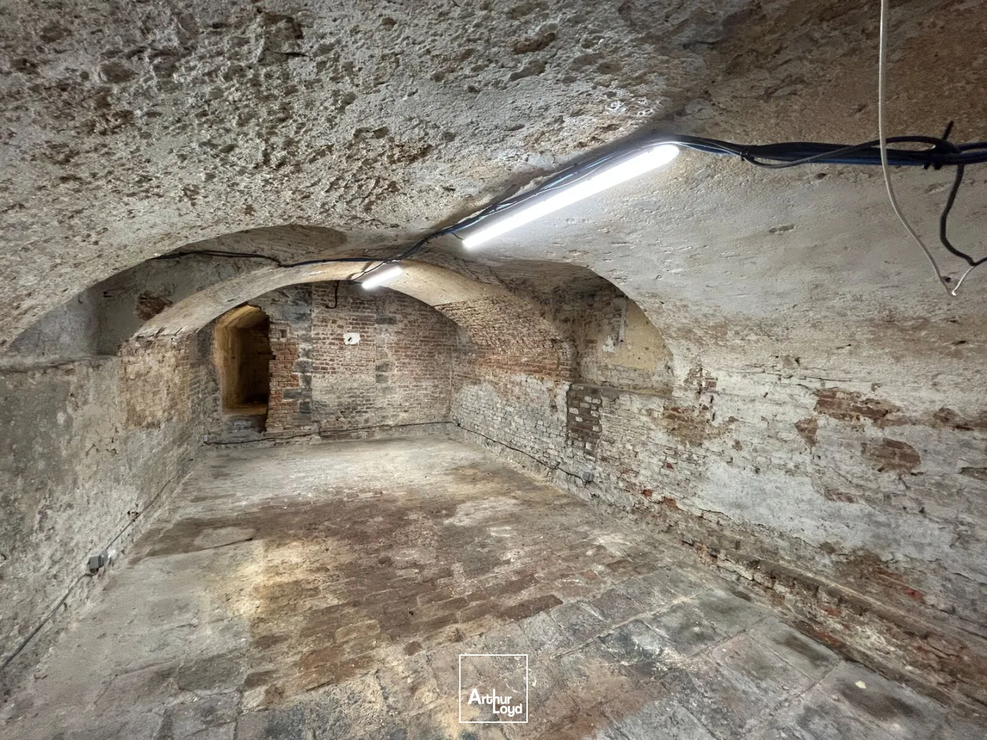 Locaux commerciaux - Location - LILLE - 59000 - 10-155 - 7653269