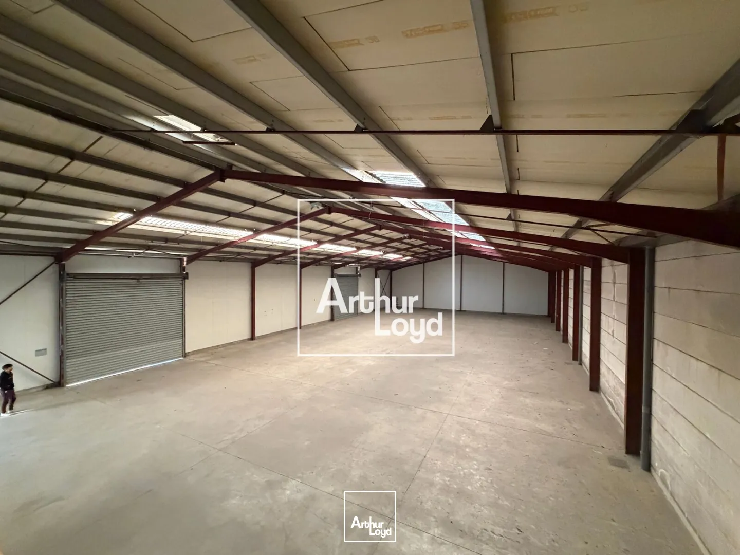 Locaux d'activité & Entrepôts - Vente - COLOMIERS - 31770 - 1206-1206 - 7653334