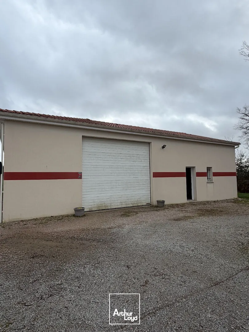 Locaux d'activité & Entrepôts - Vente - COUZEIX - 87270 - 250-250 - 7653443