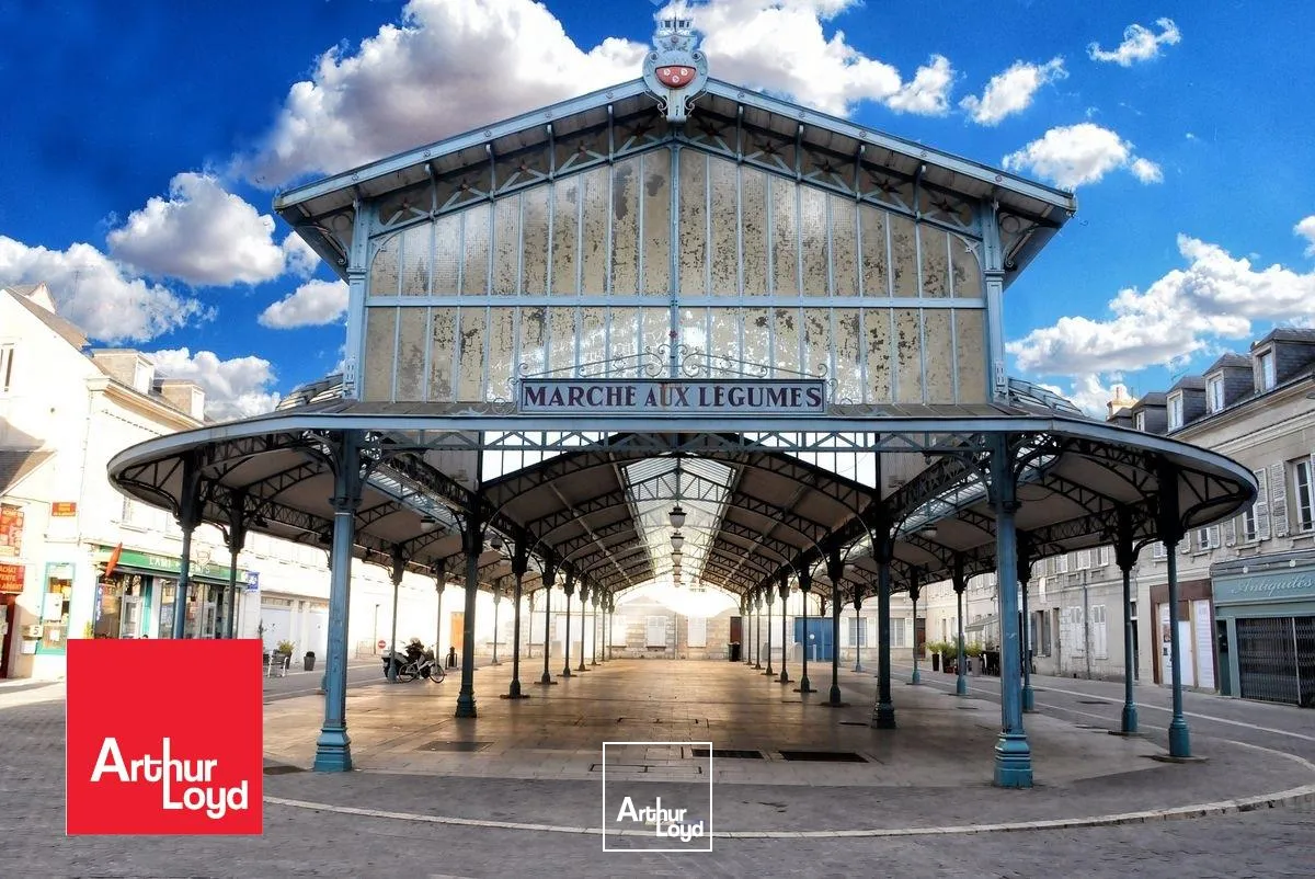 Locaux commerciaux - Vente - CHARTRES - 28000 - 113-113 - 7653471