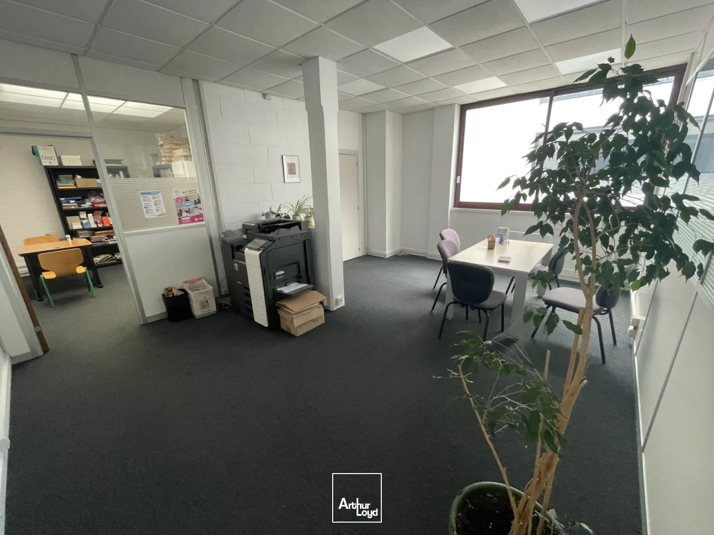 Bureaux - Location - LA MADELEINE - 59110 - 72-72 - 7654054