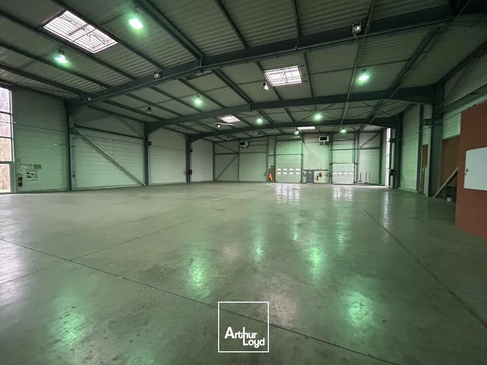 Locaux d'activité & Entrepôts - Vente - FORBACH - 57600 - 1268-1268 - 7654328