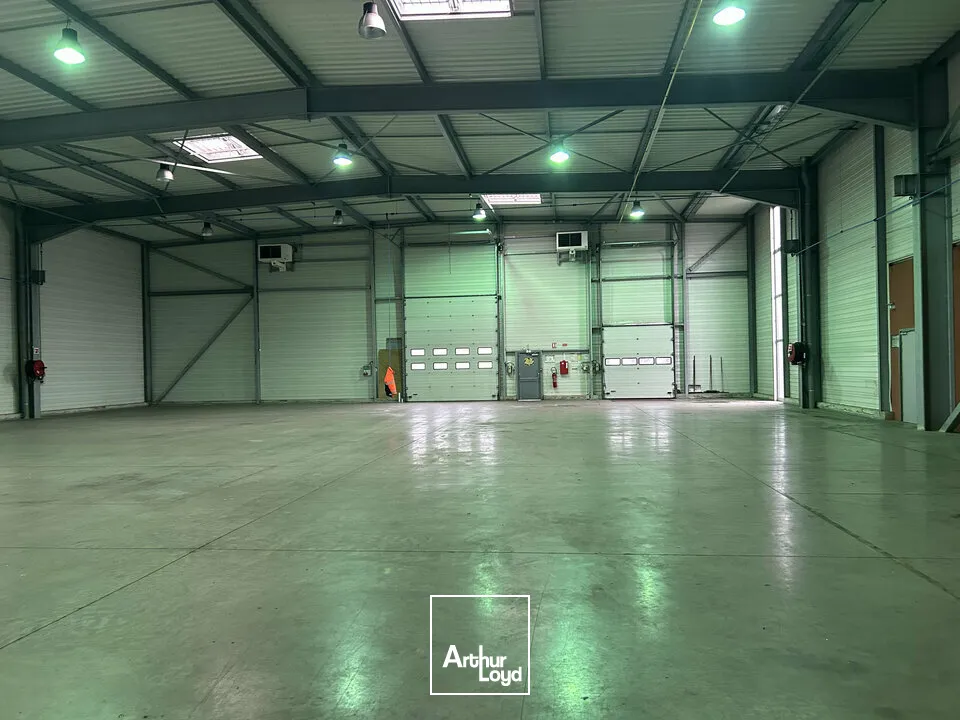 Locaux d'activité & Entrepôts - Vente - FORBACH - 57600 - 1268-1268 - 7654326