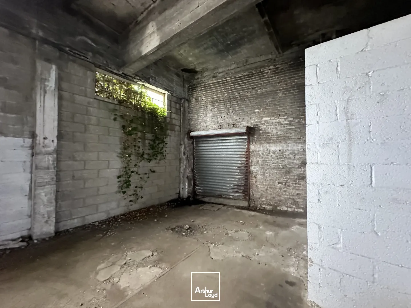 Locaux d'activité & Entrepôts - Location - SAINT AUBIN SUR SCIE - 76550 - 262-262 - 7654584