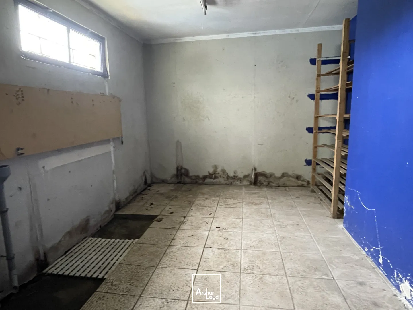 Locaux d'activité & Entrepôts - Location - SAINT AUBIN SUR SCIE - 76550 - 262-262 - 7654585