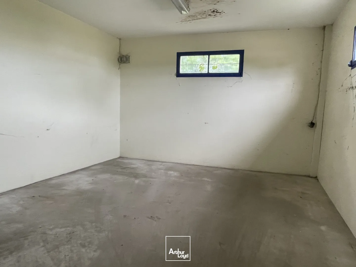 Locaux d'activité & Entrepôts - Location - SAINT AUBIN SUR SCIE - 76550 - 262-262 - 7654586