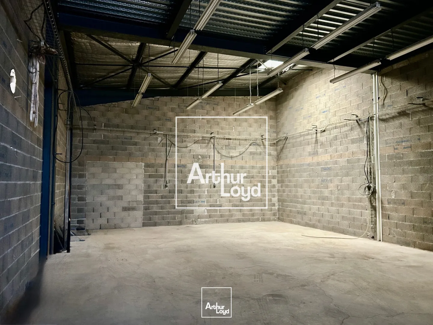 Locaux d'activité & Entrepôts - Vente - MONTPELLIER - 34000 - 1021-1021 - 7654596