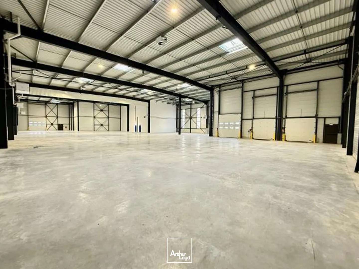 Locaux d'activité & Entrepôts - Location - TRAPPES - 78190 - 2206-2206 - 7654856