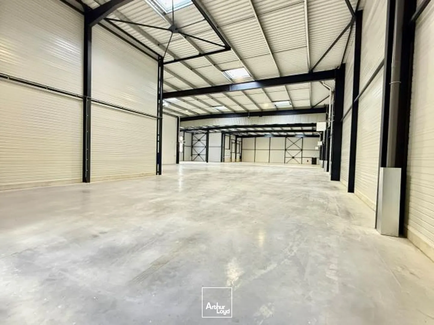 Locaux d'activité & Entrepôts - Location - TRAPPES - 78190 - 2206-2206 - 7654857